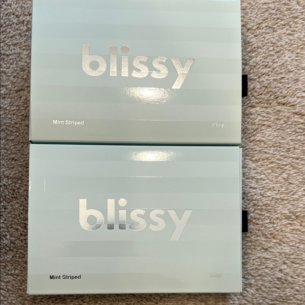 Blissy Mint Green 2 Striped King Size Pillowcases